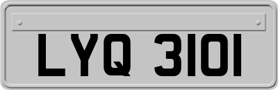LYQ3101