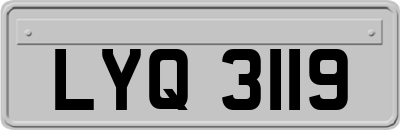 LYQ3119