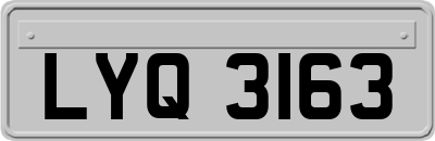 LYQ3163