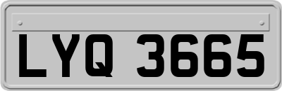 LYQ3665