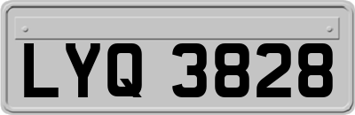 LYQ3828