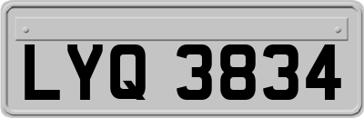 LYQ3834