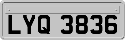 LYQ3836