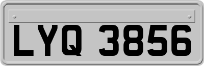 LYQ3856