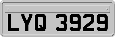 LYQ3929