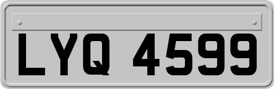 LYQ4599