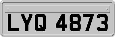 LYQ4873