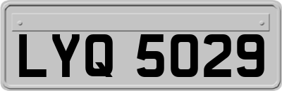 LYQ5029
