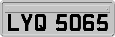 LYQ5065