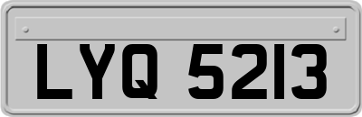 LYQ5213