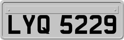 LYQ5229