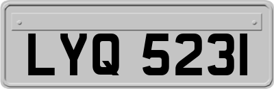 LYQ5231