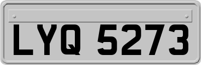 LYQ5273