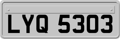 LYQ5303