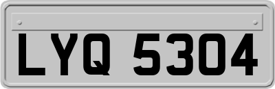 LYQ5304