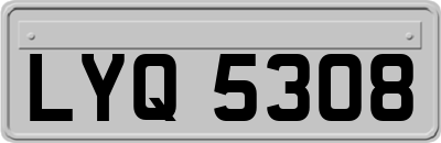 LYQ5308