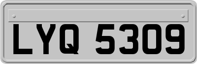 LYQ5309
