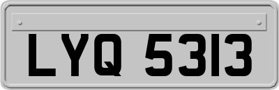 LYQ5313