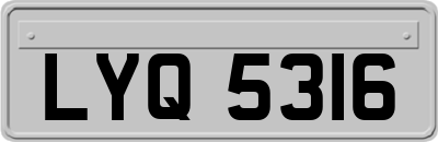 LYQ5316