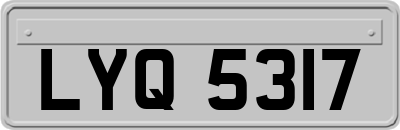 LYQ5317