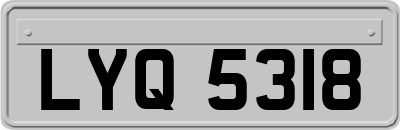 LYQ5318