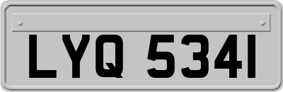 LYQ5341