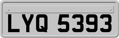 LYQ5393