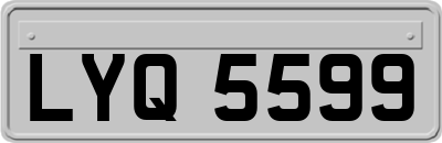 LYQ5599