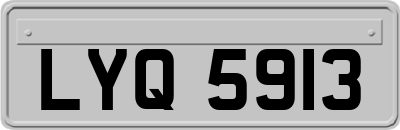 LYQ5913