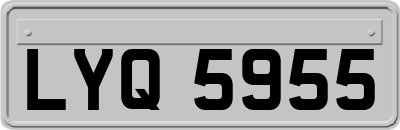 LYQ5955