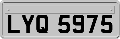 LYQ5975