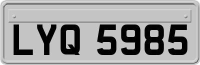 LYQ5985