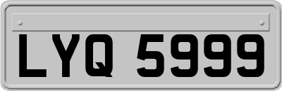LYQ5999
