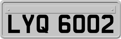 LYQ6002