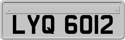 LYQ6012