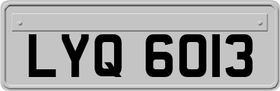 LYQ6013