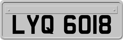 LYQ6018