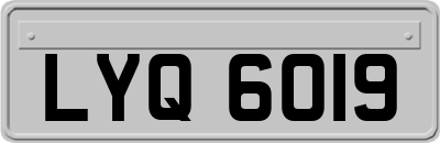LYQ6019
