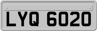 LYQ6020