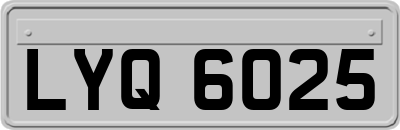 LYQ6025