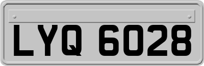 LYQ6028