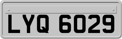 LYQ6029