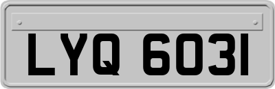LYQ6031