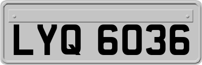 LYQ6036