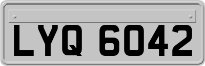 LYQ6042