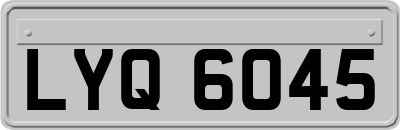 LYQ6045