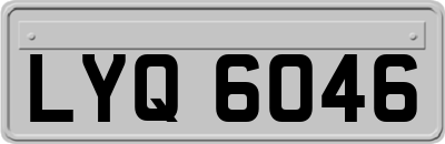 LYQ6046