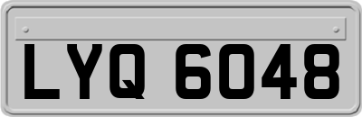 LYQ6048