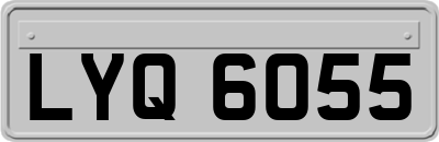 LYQ6055
