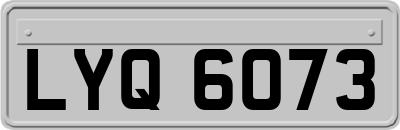 LYQ6073